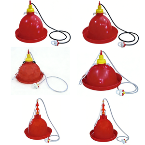 Nuevo Bebedero Automático Tipo Campana Plasson <span class=keywords><strong>para</strong></span> Aves <span class=keywords><strong>de</strong></span> Corral, <span class=keywords><strong>Pollos</strong></span>, Patos, Gansos y Cría <span class=keywords><strong>de</strong></span> Aves - Product Image 1