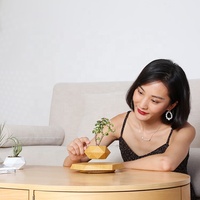 Approvisionnement d'usine Air Bonsaï Pot Mini Modèle En Plastique Cycas Revoluta Lévitation Magnétique Flottant Fleur Arbre Pas Cher Plantes De Bois Vivantes