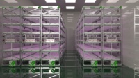 Système hydroponique vertical mobile innovant pour la culture commerciale de la laitue par Reinfa