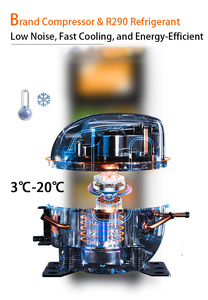 Máquinas Expendedoras de Flores tipo Casillero Refrigerado de Ahorro de Energía con Control Remoto y Sistema de Refrigeración para Floristería No Atendida - Product Image 6