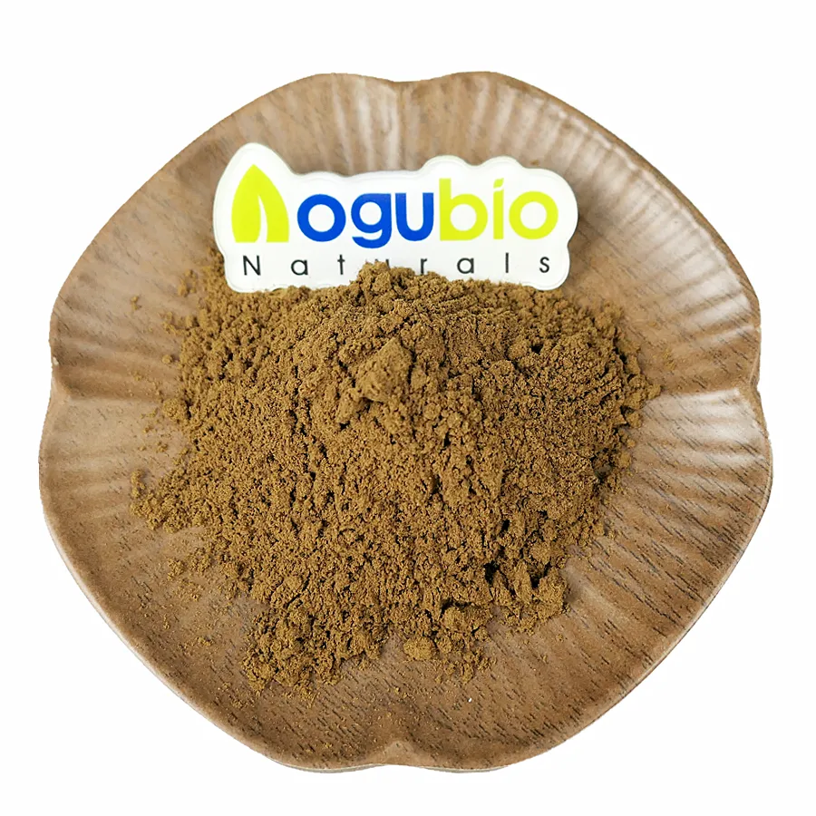 Factory price phellinus igniarius extract 30 % Polysaccharides