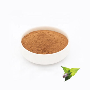 Ventes mondiales Extrait de Patchouli Extrait d'Agastache Rugosa Poudre d'extrait de Patchouli - Product Image 3