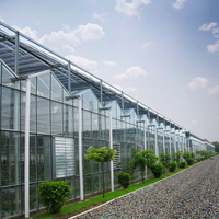 Serre agricole multi-spans de grande taille en verre trempé clé en main, avec structure en acier galvanisé à chaud, ventilation du toit/latérale - Facile à installer