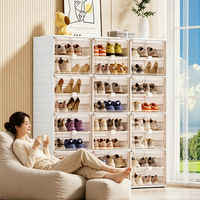 Boîte à chaussures pliable sans installation, étagère à chaussures intégrée à double rangée, porte de placard magnétique transparente, anti-poussière domestique en PP