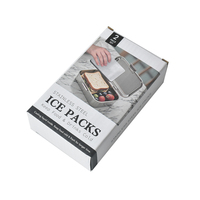 Pack de glace en métal de conception OEM pour le camping, panier de pique-nique, packs de congélation sac de glace en brique de glace pour les boissons réfrigérantes