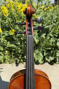 Sinomisik Master Grade European Shang chi Workshop giao dầu bản sao nhạc cụ dây vĩ cầm cũ nổi tiếng của Ý - Product Image 2