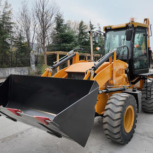 Livraison gratuite, nouvelle chargeuse-pelleteuse, utilisation agricole, mini tracteur à 4 roues motrices, chargeuses-pelleteuses, chargeuse sur pneus à vendre - Product Image 2