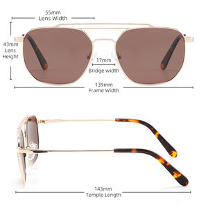 All'ingrosso occhiali da sole in metallo a doppio ponte di alta qualità per tutte le forme del viso alla moda <span class=keywords><strong>Wayfarer</strong></span> Sunglasses100 % UV polarizzati - Product Image 5