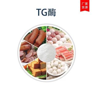 Enzyme transglutaminase TG de qualité alimentaire, fournie par l'usine YD-TG - Product Image 6