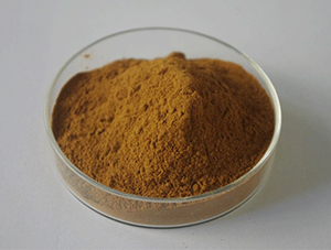 Extracto de planta surfactante natural <span class=keywords><strong>Areca</strong></span> <span class=keywords><strong>Catechu</strong></span> extracto en polvo 10: 1 - Product Image 5