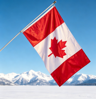 Drapeau national du Canada, motif feuille d'érable, impression numérique, polyester, vente en gros, drapeaux du monde personnalisés pour les fans de sport, décoration de jardin
