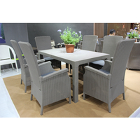 Fauteuils de salle à manger en rotin résistant aux intempéries Restaurant Garden Outdoor Porch