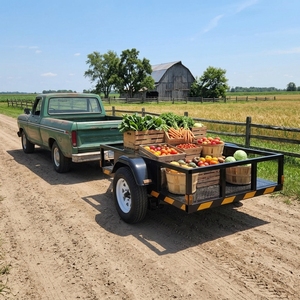 Remorque utilitaire à essieu unique en acier robuste avec côtés grillagés pour le transport de marchandises agricoles et paysagères, avec roue de <span class=keywords><strong>jockey</strong></span>, directement de l'usine - Product Image 1