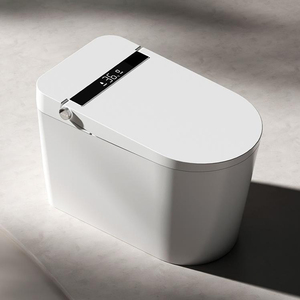 Toilette intelligente de luxe à jet <span class=keywords><strong>autonettoyant</strong></span>, faible entretien, pour projets de salons VIP d'aéroports - Product Image 1