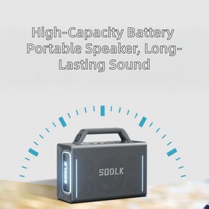 SODLK S1116 200W 无线卡拉 OK 音箱，带 RGB LED 灯，适合 5.3 人聚会使用，塑料外壳，2 个手持麦克风和控制台 - Product Image 6