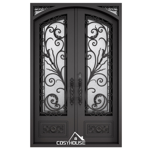 Puerta Principal Exterior de Hierro de Estilo Americano, Puerta Doble Moderna con Rejilla de Hierro, Últimos Diseños de Arcos, Puertas de Hierro Forjado para Casas - Product Image 1