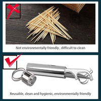 Ensemble de cure-dents en acier inoxydable, cure-dents réutilisables pour le nettoyage des dents, cure-dents portables, fil dentaire, nettoyant pour les dents, nettoyage buccal