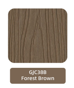 Brun forêt