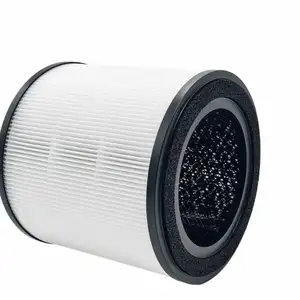 Exclusive filters Compound Particle HEPA and Activated Carbon Filter For Electrolux A3 Air Purifier