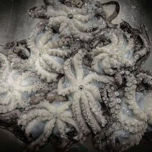 <span class=keywords><strong>Pulpo</strong></span> <span class=keywords><strong>congelado</strong></span> a buen <span class=keywords><strong>precio</strong></span> y <span class=keywords><strong>pulpo</strong></span> de buena calidad - Product Image 1