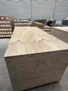 Contreplaqué de pin CDX de qualité construction 3/4 5/8 pouce imperméable pour usage extérieur, <span class=keywords><strong>prix</strong></span> bas, émission de formaldéhyde E1, peuplier - Product Image 4