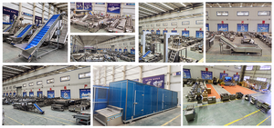 Fabriek Directe Prijs Volautomatische Cassave Chips Maken Machine Bevroren Frietjes Productielijn - Product Image 6