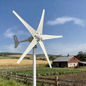 Éolienne à axe horizontal <span class=keywords><strong>1000W</strong></span> 12V 24V à aimant permanent pour batterie de bateau - Product Image 5