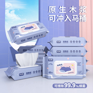 Papier toilette humide Jia Yan, 40 pièces, biodégradable, pour le nettoyage et les soins des adultes - Product Image 3