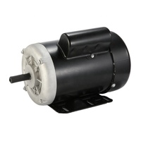 Motor Pertanian NEMA 2 Kutub 1/4HP 56 Frame Motor Induksi Fasa Tunggal 60Hz IP55 100% Kawat Tembaga Torsi Tinggi Efisiensi IE2