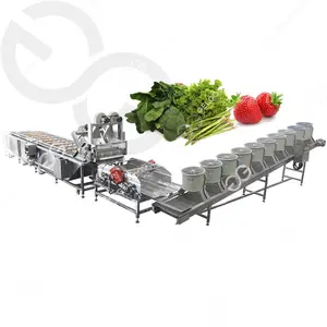 Industriële Bladgroenten Groente Fruit Wasmachine Asperges Paddestoel Salade Wasmachine