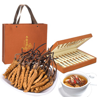 Cordyceps de alta calidad Cordyceps liofilizado Cordyceps militaris cordiceps Cordyceps sinensis