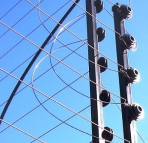 Système de clôture électrique universel avec bobine d'électrificateur et <span class=keywords><strong>filet</strong></span> <span class=keywords><strong>pour</strong></span> la sécurité résidentielle et du bétail - Product Image 4