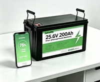 Batterie LiFePO4 25,6V 200Ah 5120Wh, Batterie Lithium 24V à Décharge Profonde avec BMS Bluetooth, Cellules Grade A 6000 Cycles pour VR, Solaire, Hors Réseau