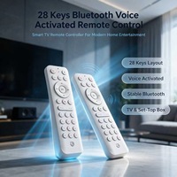 Control Remoto JCXK de 28 Teclas con Activación por Voz para Televisor Inteligente OEM ODM
