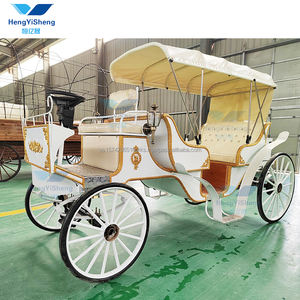 Transport à cheval à 4 roues pour les visites touristiques du parc Transport spécial pour les visites touristiques - Product Image 5