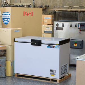 <span class=keywords><strong>Congélateur</strong></span> Commercial <span class=keywords><strong>Horizontal</strong></span> <span class=keywords><strong>ou</strong></span> <span class=keywords><strong>Vertical</strong></span> de Bonne Qualité – Coffre, Droit, Petit et Profond - Product Image 6