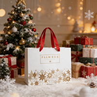 Sacs cadeaux en papier couché de luxe, sacs d'emballage pour le shopping avec poignées de transport pour bijoux, perruques, vêtements, chaussures, bougies