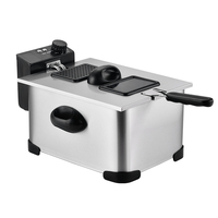 Friteuse professionnelle de petite taille pour la cuisine domestique, en acier inoxydable, pour frites