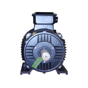 Generador Hidroeléctrico Sin Escobillas de 30 KW y 750 RPM con Salida de Frecuencia Estable para Conexión a la Red - Product Image 5