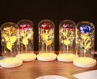 Hadiah Valentine lampu Led 24 k Foil emas kristal Galaxy mawar bunga mawar di kubah untuk Gadis ibu istri
