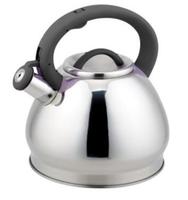 Bouilloire à thé moderne en acier inoxydable écologique avec sifflet, compatible induction, avec couvercle et sifflet en silicone pour usage domestique