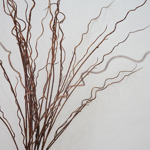 Planta de plástico artificial, ramitas de árbol seco, ramas de <span class=keywords><strong>pino</strong></span> de sauce rizadas, marrón sin hojas para decoración navideña - Product Image 3