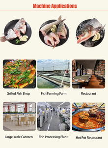 Balık işleme makinesi balık öldürme makinesi otomatik balık kesme makinesi - Product Image 6