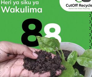 รุทูบิชา 500 กก. 1000 กก. วัสดุปลูกพืชออร์แกนิค พรีเมียม ชนิดแข็ง - Product Image 3