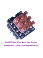 OPA2891 200mA Kelas-A Op-Amp Ganda Audiophile Arus Tinggi Lebih Unggul dari OPA828 1622 1612 dan MUSES02 Dari TI