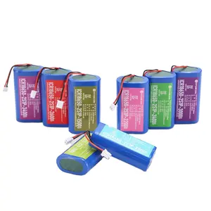 Batterie lithium-ion, rechargeable, longue durée de vie, 12 v, 18650 mah