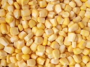 Çin'den Premium dondurulmuş TATLI MISIR çekirdek TATLI MISIR Cob - Product Image 2