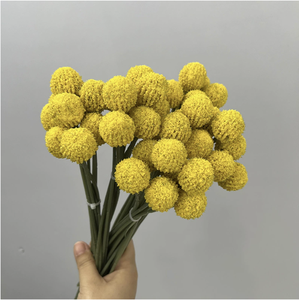 Ramo de Craspedia Artificial de Seda para Decoración del Hogar, Arreglos Florales para el Día de San Valentín y Graduación - <span class=keywords><strong>Billy</strong></span> Balls Amarillo Dorado - Product Image 4
