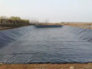 Waterdichte Hoge Dichtheid Polyethyleen Voering Geomembranas Hdpe Vijver Liner Voor Garnalen Boerderij Hdpe Geomembrane Plaat