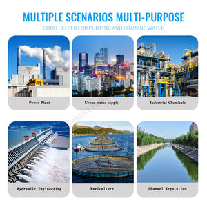 Pompa Centrifuga a Doppia Aspirazione DEHUIKE 50000m³/h con Prevalenza di 200m per Fornitura Idrica Urbana/Drenaggio/Protezione Antincendio - Product Image 6